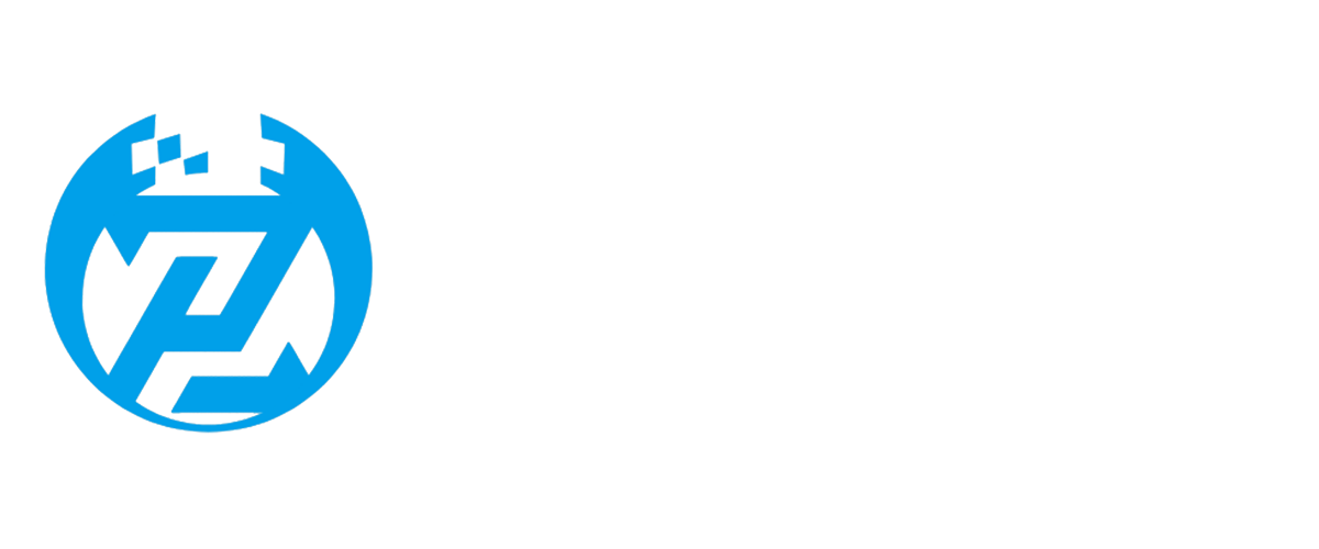 山东普正信息技术有限公司